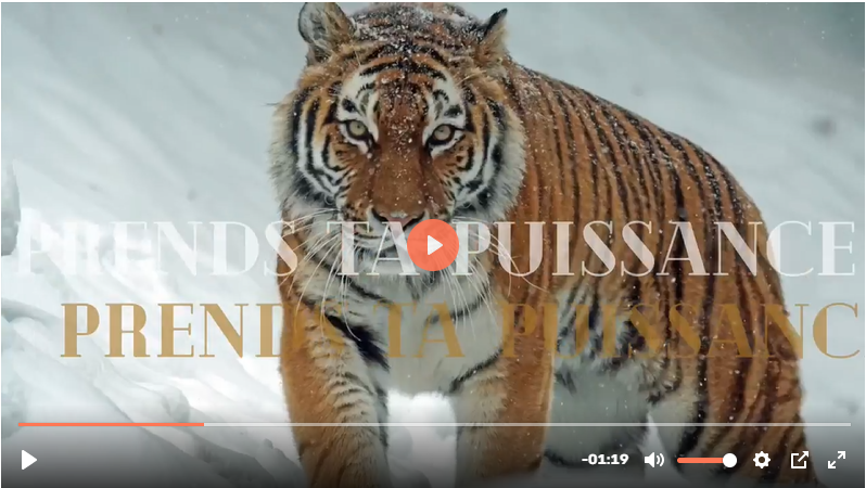 Prends ta Puissance – Le programme